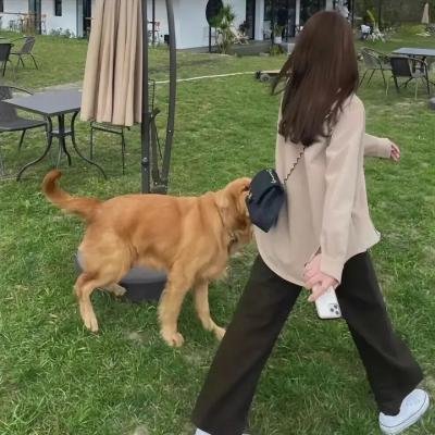 十全主妇